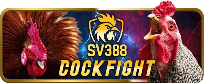 Cá cược tennis vmax88 đăng nhập
